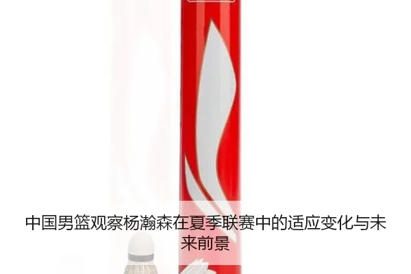 中国男篮观察杨瀚森在夏季联赛中的适应变化与未来前景