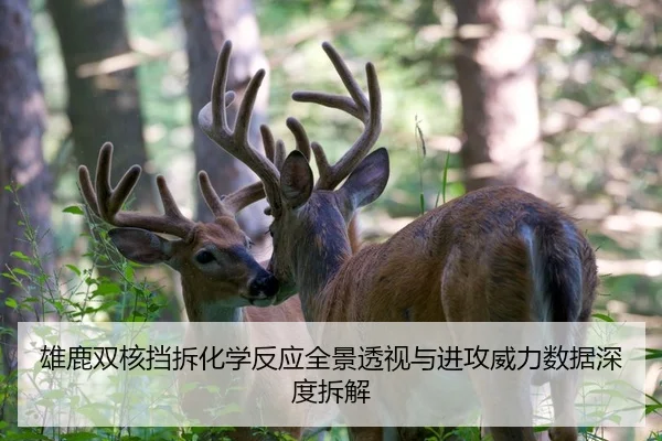雄鹿双核挡拆化学反应全景透视与进攻威力数据深度拆解