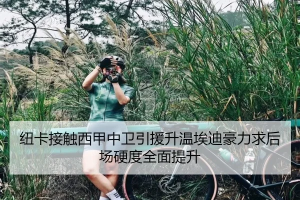 纽卡接触西甲中卫引援升温埃迪豪力求后场硬度全面提升